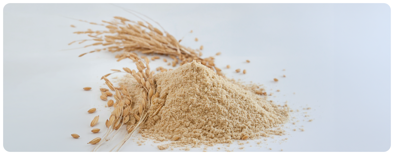 옥타코사놀 원료